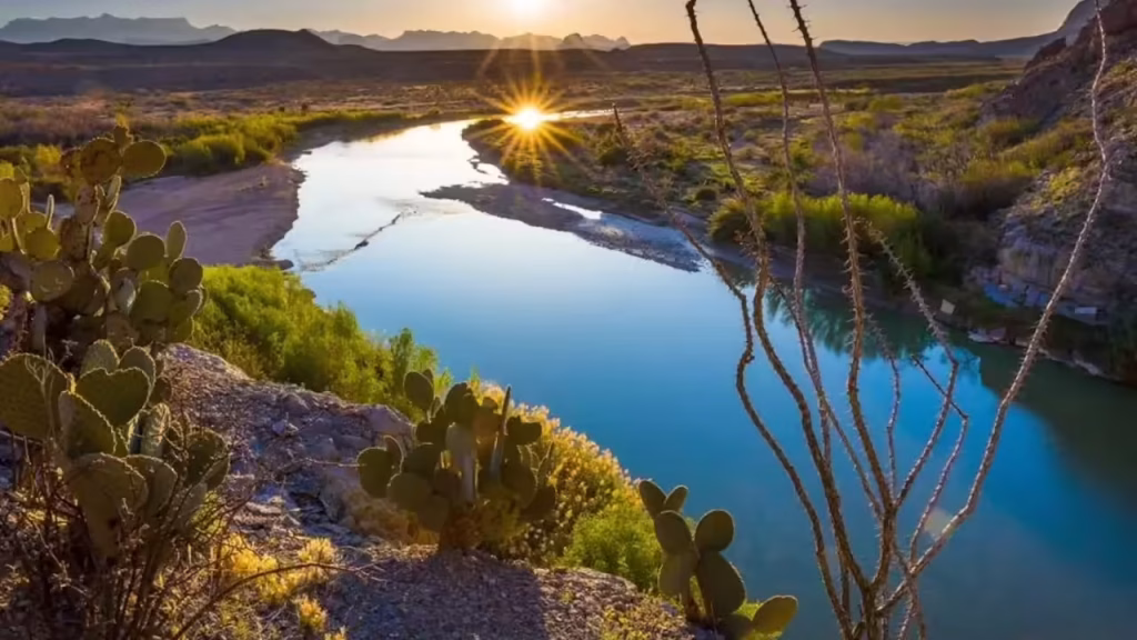 5 Best places in the US to spot snakes this August—A must-visit for wildlife enthusiasts