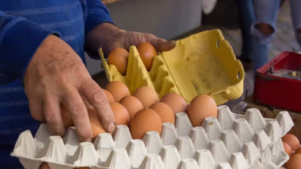 The surprising reason supermarket eggs are always stored outside in India but refrigerated in many Western countries