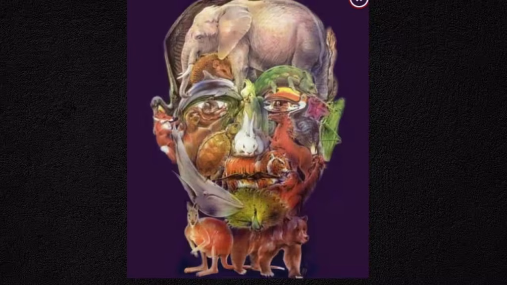 Brain teaser optical illusion: You are among the top 1% if you stop all 25 animals hidden in the man’s face within 2 minutes