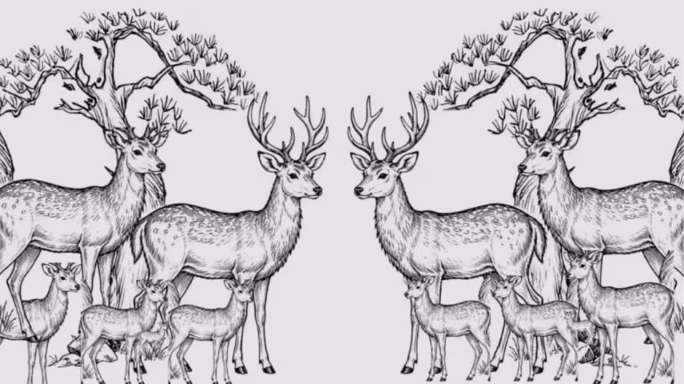 Personality test optical illusion: Only sharp-eyed people can find all the hidden deer in this image within 11 seconds